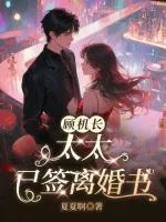 《顾机长,太太已签离婚书》小说封面