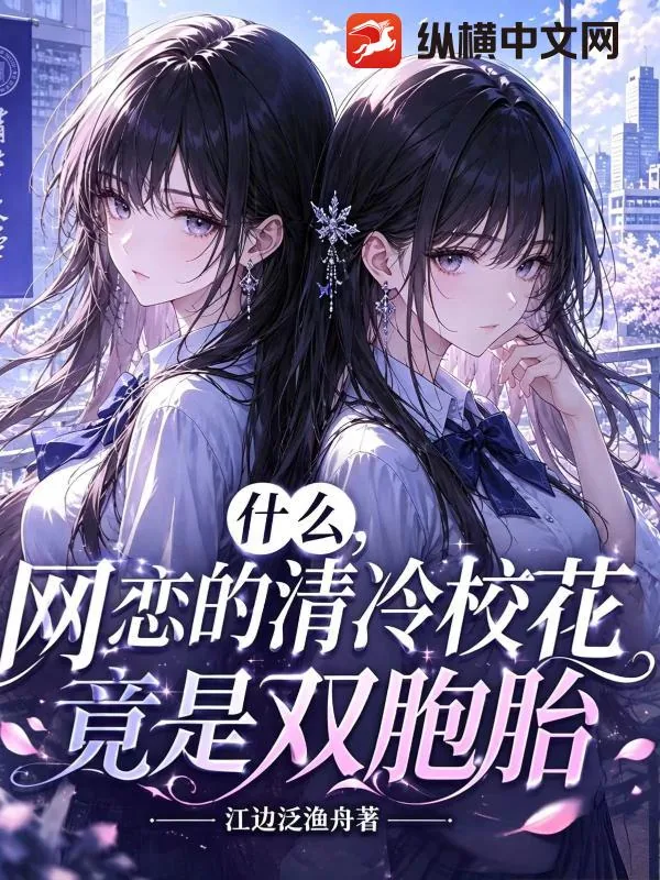 《什么，网恋的清冷校花竟是双胞胎》小说封面