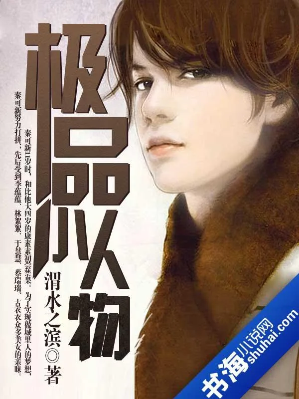 《极品小人物》小说封面