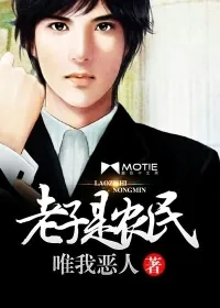 《老子是农民》小说封面