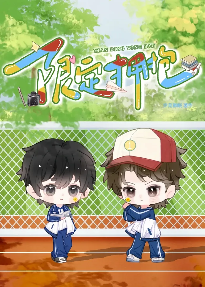 《限定拥抱》小说封面