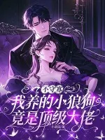 《不守寡，我养的小狼狗竟是顶级大佬》小说封面