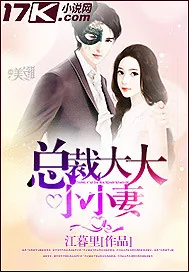 《总裁大大小小妻》小说封面