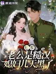 《七零老公是糙汉，媳妇儿天黑了》小说封面