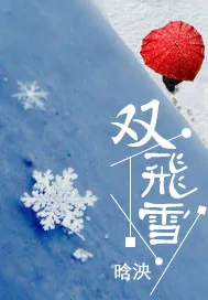 《双飞雪》小说封面