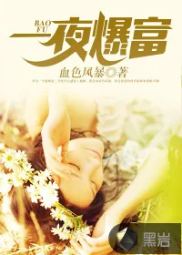 《一夜爆富》小说封面
