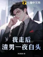 《我走后,渣男一夜白头》小说封面
