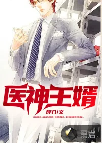 《医神王婿》小说封面