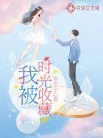 《我被时光收藏》小说封面