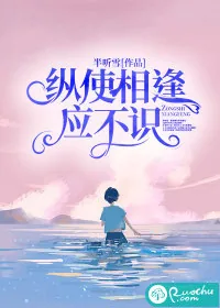 《纵使相逢应不识！》小说封面