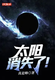 《太阳消失了!》小说封面