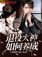 《退役大神如何养成》小说封面