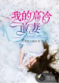 《我的高冷前妻》小说封面