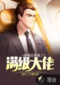 《离婚后我成了满级大佬》小说封面