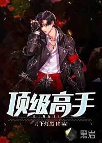 《顶级高手》小说封面