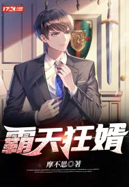 《霸天狂婿》小说封面