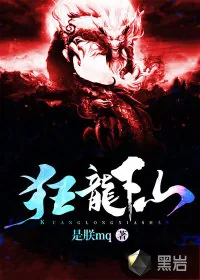 《狂龙下山》小说封面