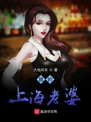 《我的上海老布》小说封面