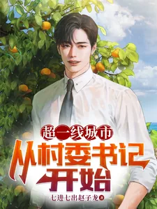 《超一线城市：从村委书记开始》小说封面
