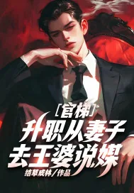 《官梯，升职从妻子去王婆说媒！》小说封面