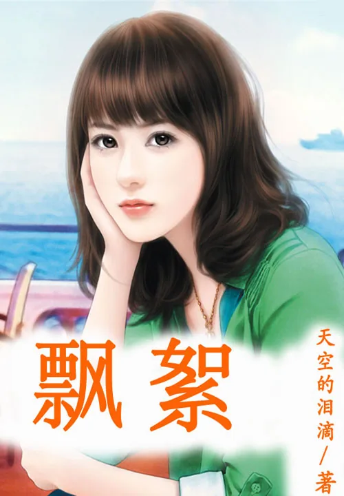 《飘絮》小说封面