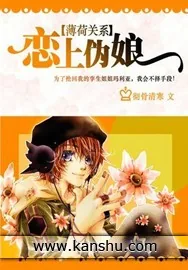 《恋上伪娘》小说封面