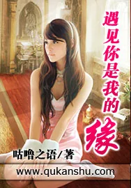 《遇见你是我的缘》小说封面