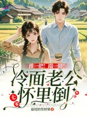 《推一把!踹一脚!冷面老公怀里倒》小说封面