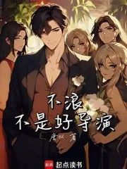《不浪不是好导演》小说封面