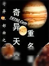 《奇异天空》小说封面