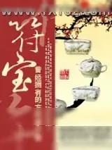 《符宝》小说封面