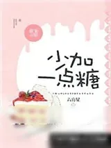 《少加一点糖》小说封面