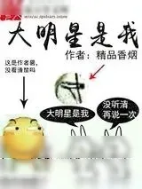 《大明星是我》小说封面