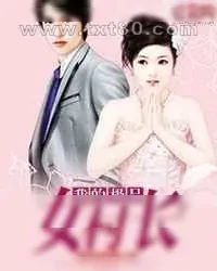 《我的极品女村长》小说封面