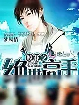 《校花之绝世高手》小说封面