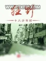 《狂野十八少年时》小说封面