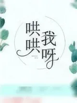 《哄哄我呀》小说封面