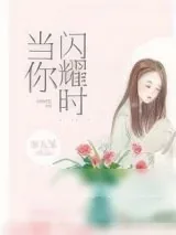 《当你闪耀时》小说封面