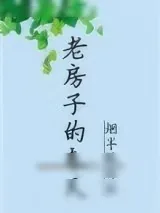 《老房子的春天》小说封面