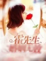《霍先生婚姻无效》小说封面