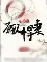 《重生之原配悍妻》小说封面