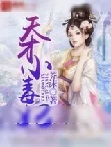 《天才小毒妃》小说封面