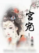 《宫宠》小说封面