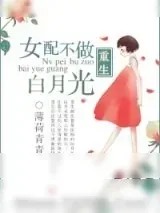《重生女配不做白月光》小说封面