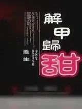《解甲归甜（重生）》小说封面