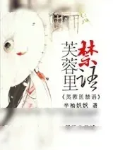 《芙蓉里》小说封面