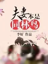 《夫妻本是同林鸟》小说封面