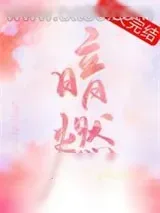 《暗燃》小说封面
