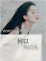《何以共白头》小说封面