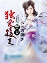 《暖婚之贤妻至上》小说封面